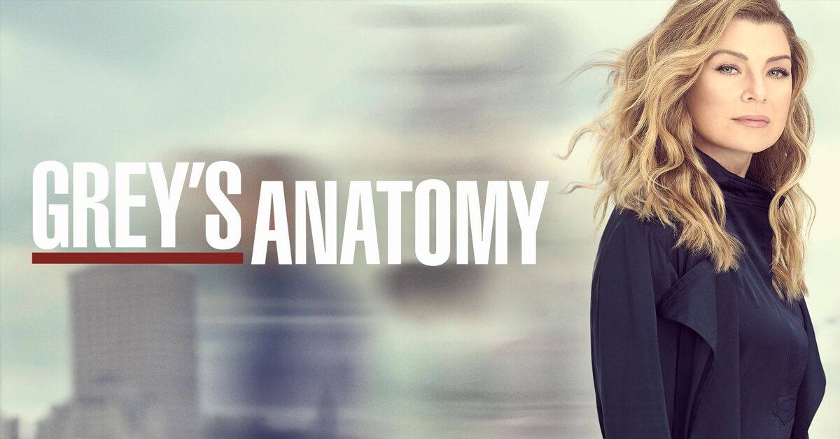 Grey's Anatomy Cast & Guest Stars Tonight & 2024 Season TV Everyday
