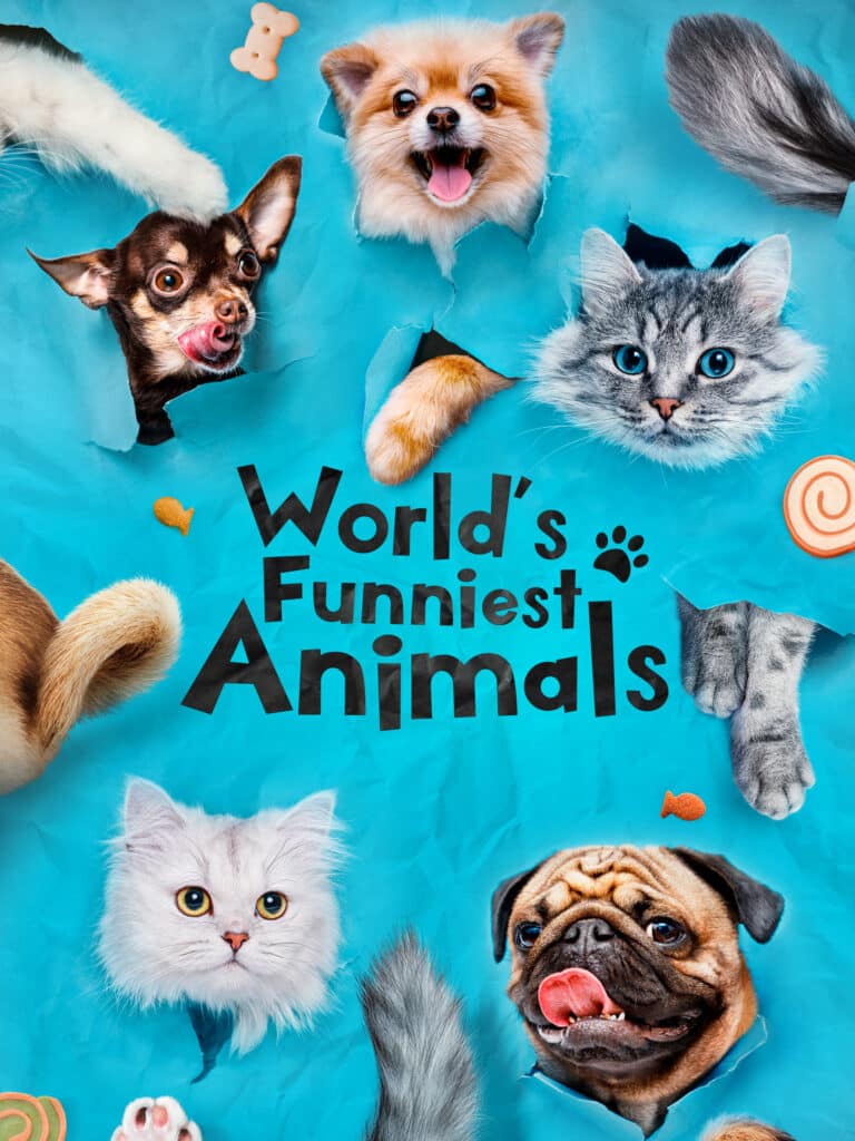 World's Funniest Animals Season 4 Episode 17 Episode 413 Airs August 22 ...